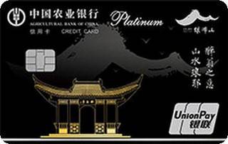 农业银行滁州琅琊山联名信用卡(白金卡)面签激活开卡
