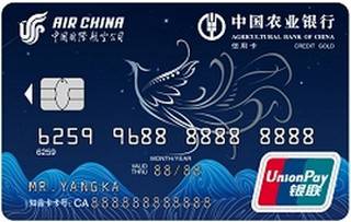 农业银行凤凰知音联名信用卡(银联-金卡)还款流程