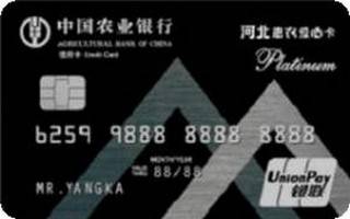 农业银行河北惠农爱心信用卡(白金卡)最低还款