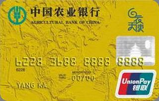 农业银行金穗白衣天使信用卡(金卡)还款流程