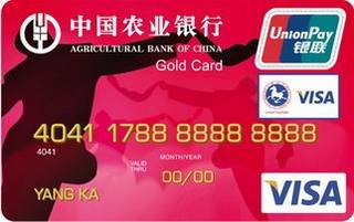 农业银行金穗东方神韵国际旅游信用卡(红色)面签激活开卡