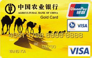 农业银行金穗东方神韵国际旅游信用卡(黄色)怎么办理分期