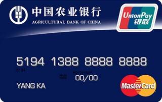 农业银行金穗双币贷记卡(万事达-普卡)有多少额度