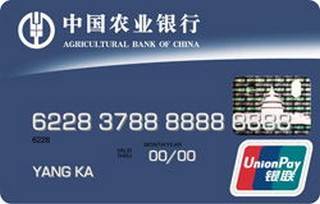 农业银行金穗银联标准信用卡(普卡)怎么申请办理？