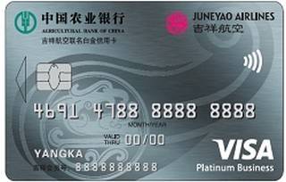 农业银行吉祥航空联名IC信用卡(VISA-白金卡)怎么办理分期