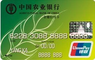 农业银行聚惠通信用卡(普卡)申请条件