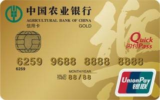 农业银行乐卡信用卡(带电子现金-金卡)