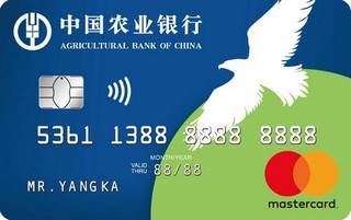 农业银行留学白金信用卡(万事达)最低还款