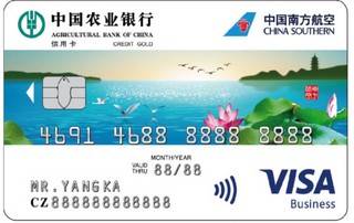 农业银行南航明珠联名信用卡(Visa水版-金卡)还款流程