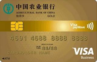 农业银行全球支付芯片卡(VISA-金卡)最低还款