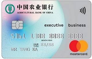 农业银行全球支付芯片卡(万事达-白金卡)