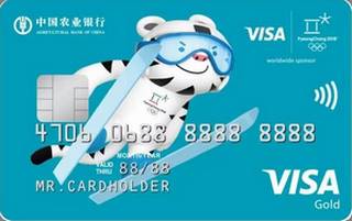农业银行Visa2018冬奥会主题信用卡(金卡-蓝)怎么透支取现