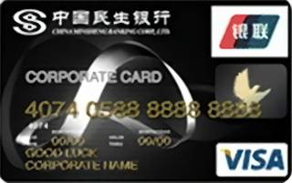 民生银行公务信用卡(VISA-金卡)怎么申请办理？