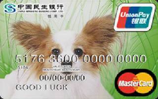 民生银行ID信用卡(蝴蝶犬-万事达普卡)申请条件