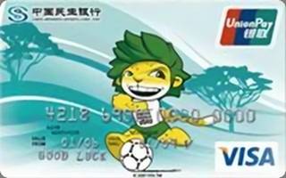 民生银行南非世界杯双币信用卡(吉祥物版-普卡)申请条件