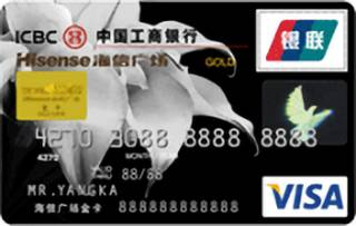 工商银行牡丹海信广场信用卡(VISA-金卡)
